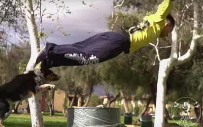 Man’s best friend parkour