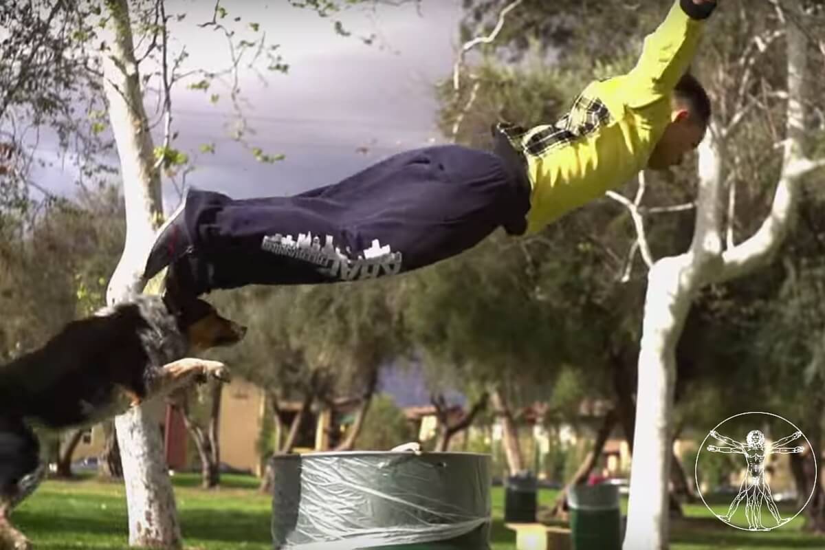 Man’s best friend parkour