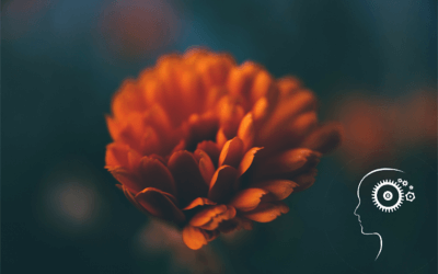 Ten Ways To Improve Your Memory