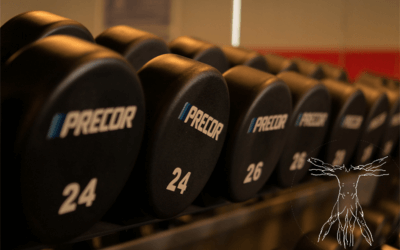 The Health Benefits of Free Weights