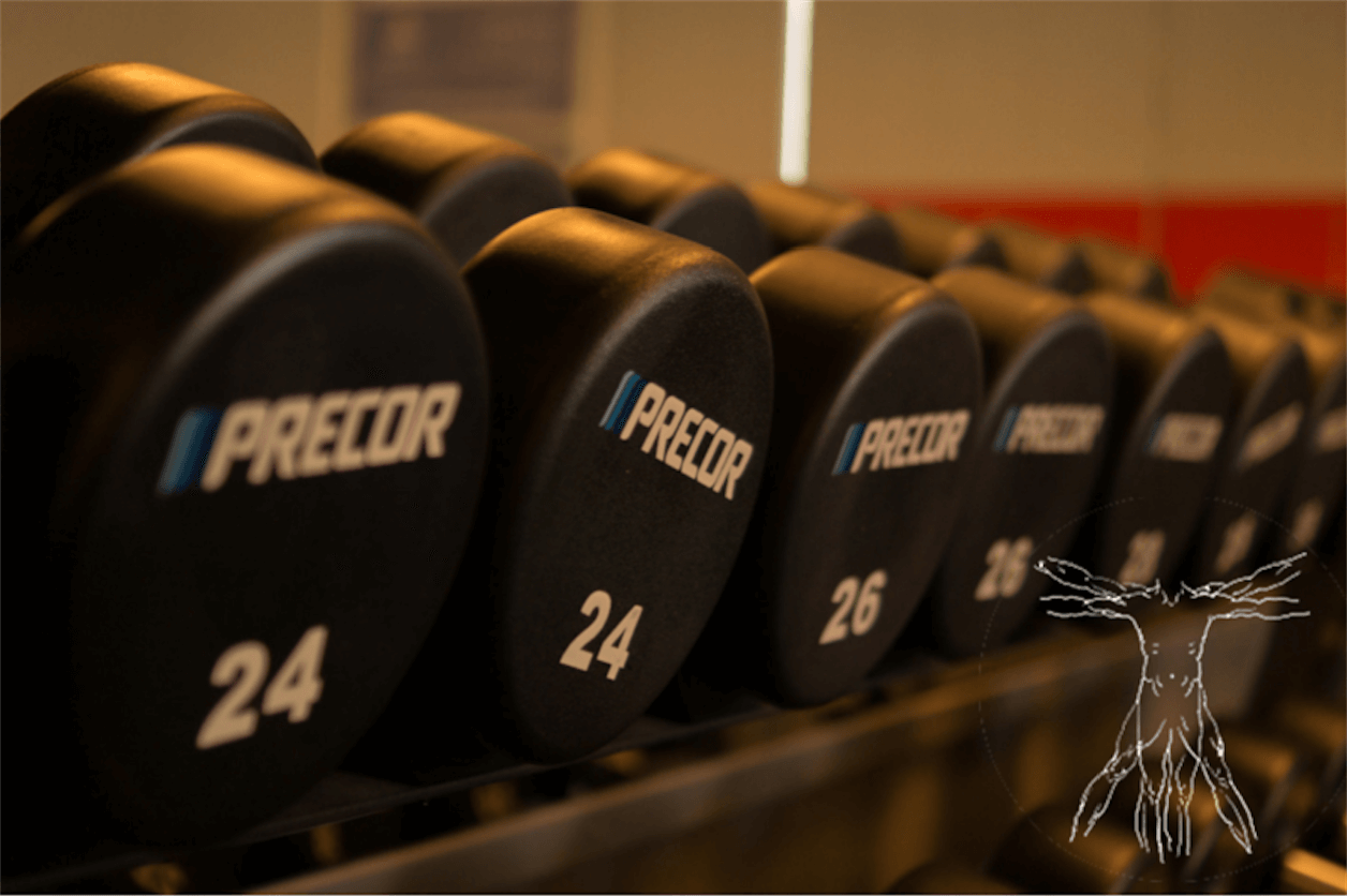 The Health Benefits of Free Weights