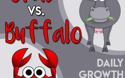 Crab Vs. Buffalo