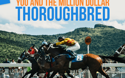 Revisit: You and the Million Dollar Thoroughbred