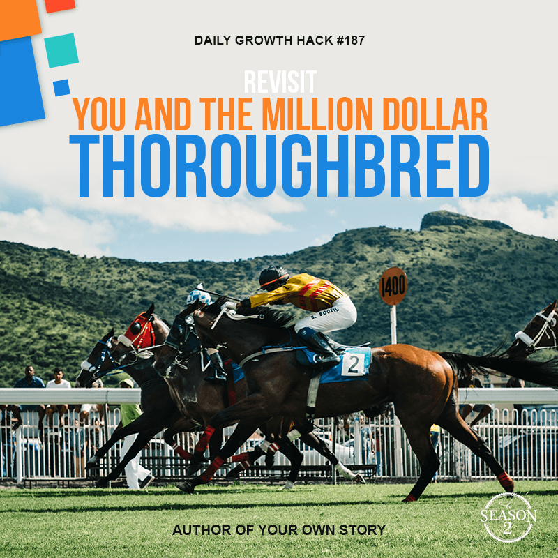 Revisit: You and the Million Dollar Thoroughbred
