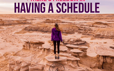 Revisit: There’s Freedom in Having a Schedule