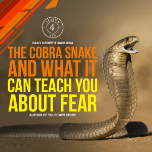 The Cobra And What It Can Teach You About Fear