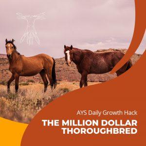 [BODY] The Million Dollar Thoroughbred