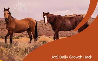 [BODY] The Million Dollar Thoroughbred