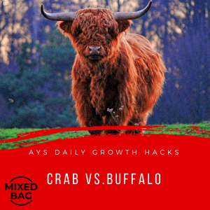 [MIXED BAG] Crab Vs. Buffalo