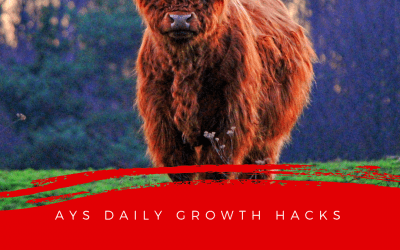 [MIXED BAG] Crab Vs. Buffalo